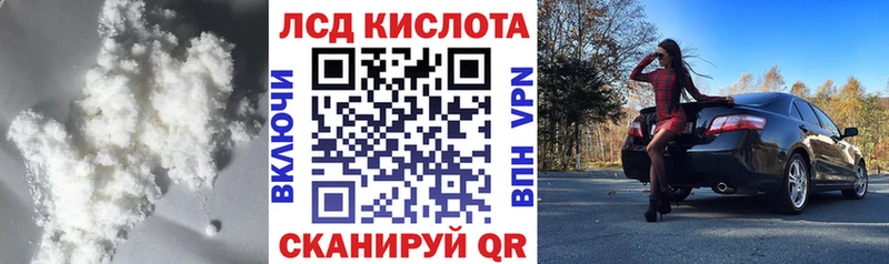 дарнет шоп  Колпашево  Лсд 25 экстази кислота 