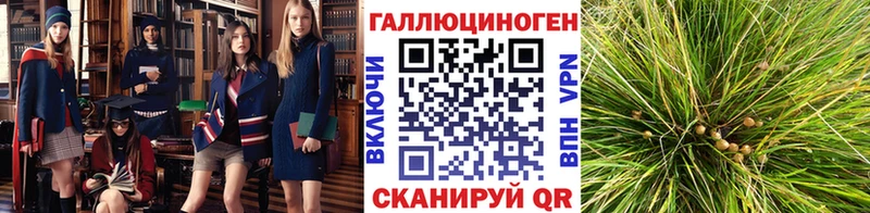 наркошоп  Колпашево  Псилоцибиновые грибы MAGIC MUSHROOMS 